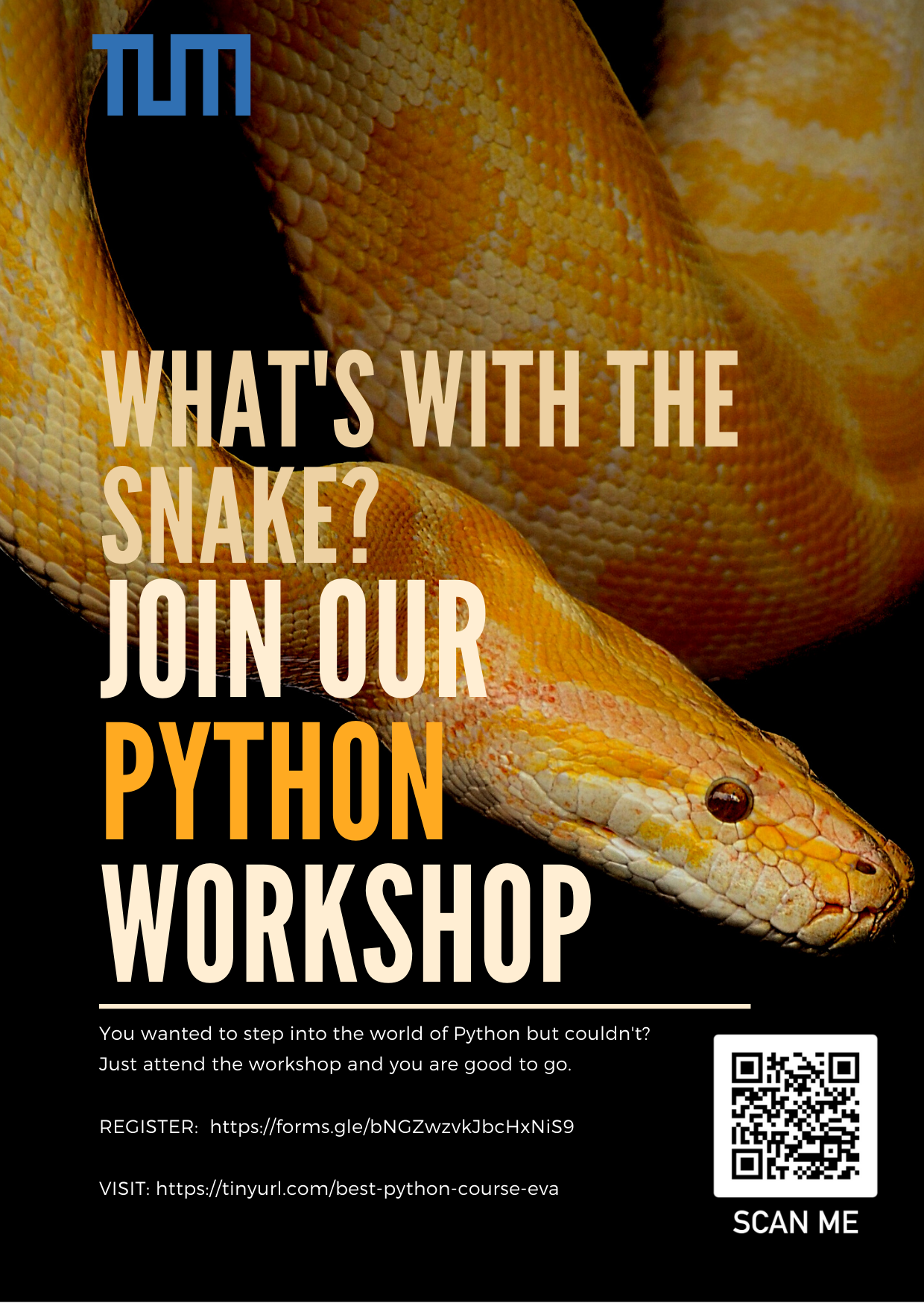 Python Posters