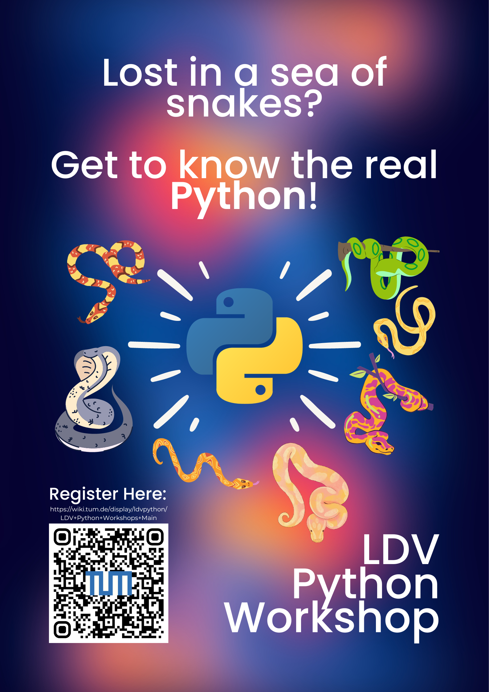 Python Posters